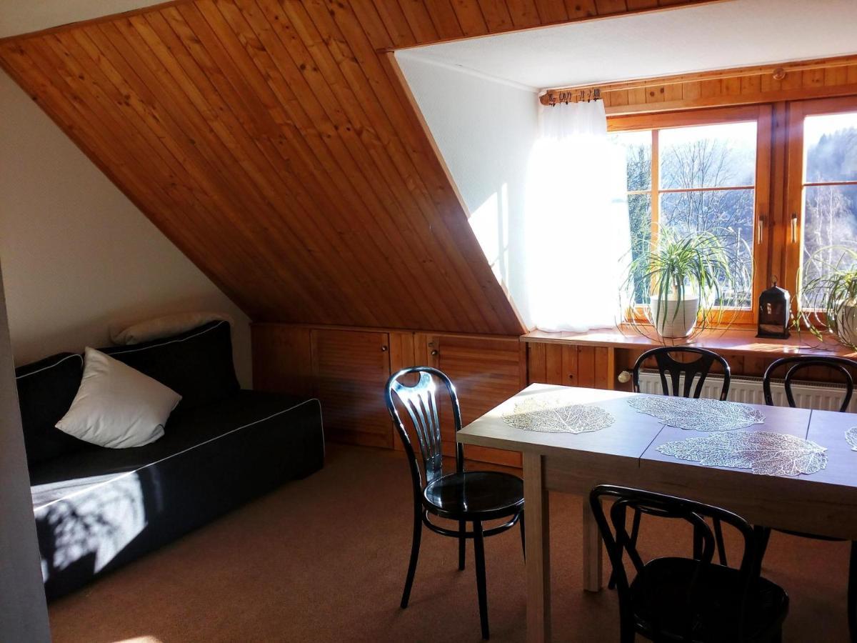 Apartamencik Na Slonecznej Пєховіце Екстер'єр фото